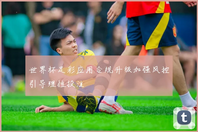 世界杯足彩应用合规升级加强风控引导理性投注