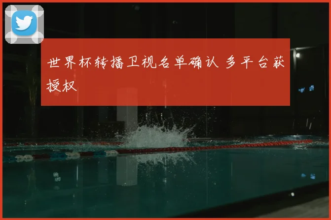 世界杯转播卫视名单确认 多平台获授权