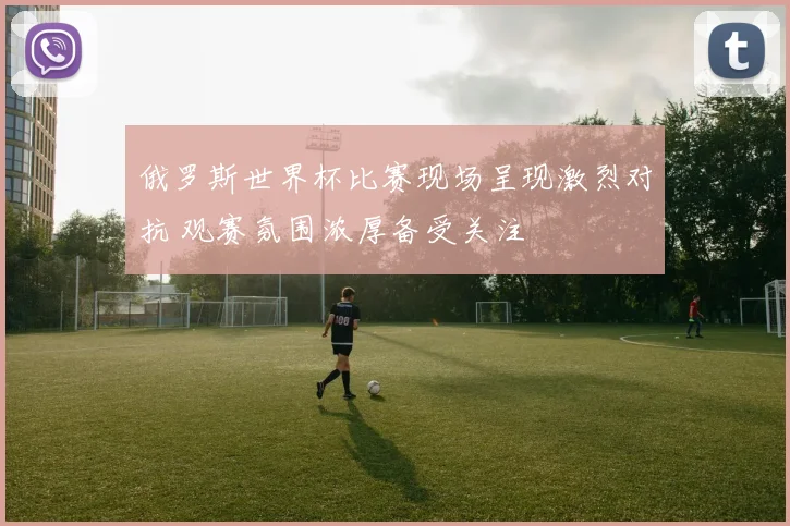 俄罗斯世界杯比赛现场呈现激烈对抗 观赛氛围浓厚备受关注