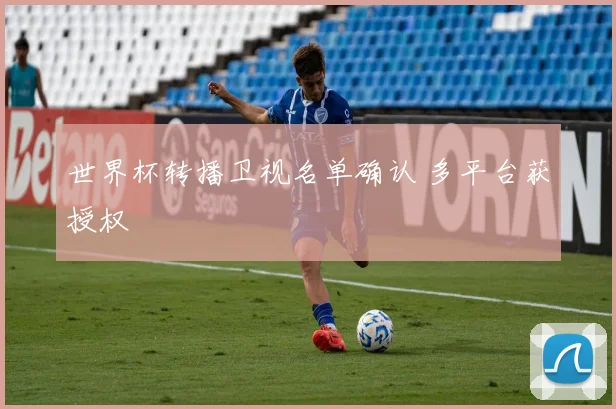 世界杯转播卫视名单确认 多平台获授权