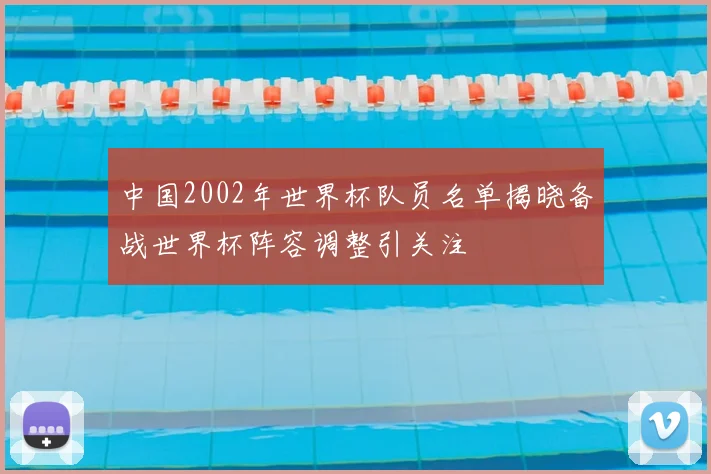 中国2002年世界杯队员名单揭晓备战世界杯阵容调整引关注