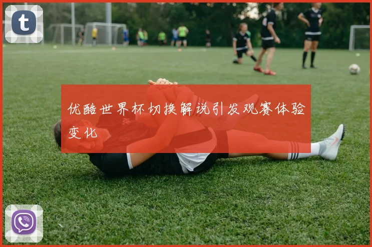 优酷世界杯切换解说引发观赛体验变化