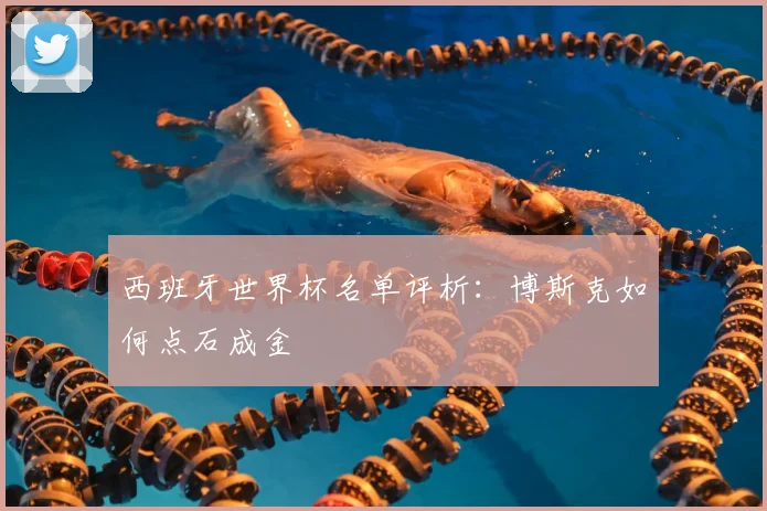 西班牙世界杯名单评析:博斯克如何点石成金